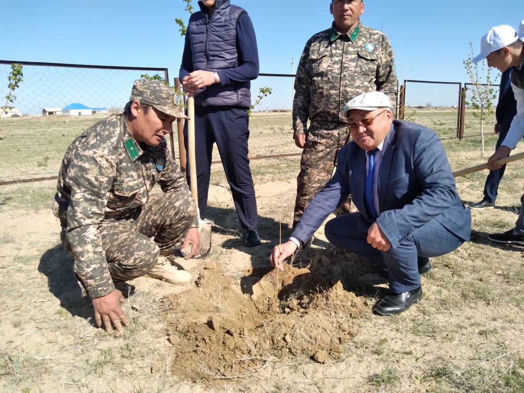 В с.Жанакурылыс проведена акция Всеказахстанский день посадки деревьев