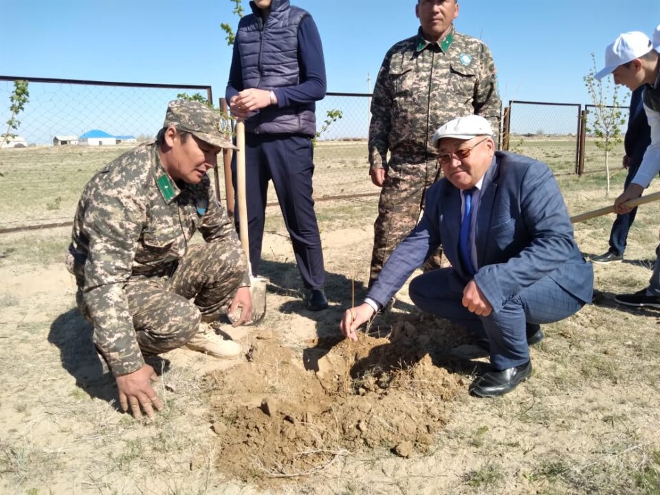 В с.Жанакурылыс проведена акция Всеказахстанский день посадки деревьев