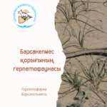 Оқжылан