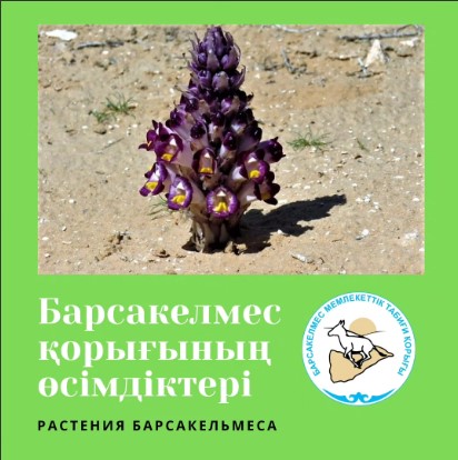 🌿 Цистанхе - род растений семейства Заразиховые.