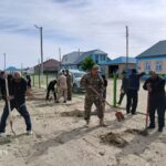 В селе Каратерень проведены работы по посадке деревьев