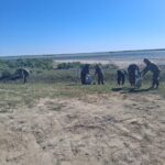 Проведена экологическая акция «Таза жағалау»