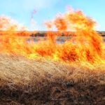 Пал сухой травы – угроза природе и жизни!