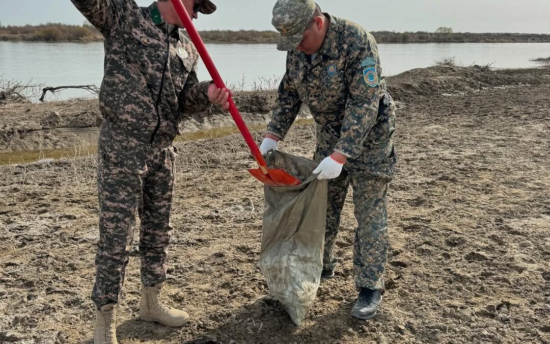 Республикалық “Тазаlike” іс шарасының жол картасы және «Парктер шеруі - 2025» табиғат қорғау акциясы аясында “Таза жағалау” экологиялық іс - шарасы өткізілді