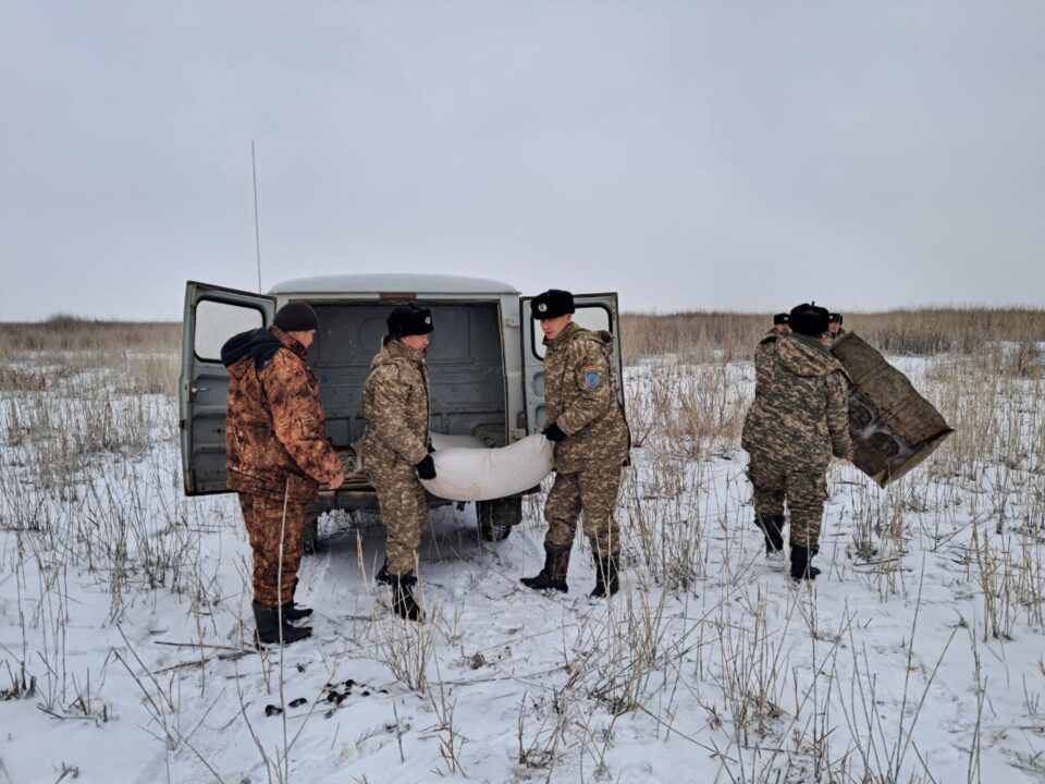 Биотехниялық іс-шаралар