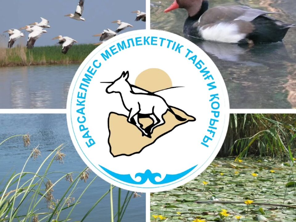 Бүгін - сулы-батпақты алқаптар күні!