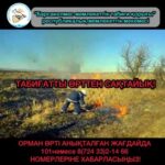 Жаз айларында орманда өрт шығу қаупі артатыны белгілі
