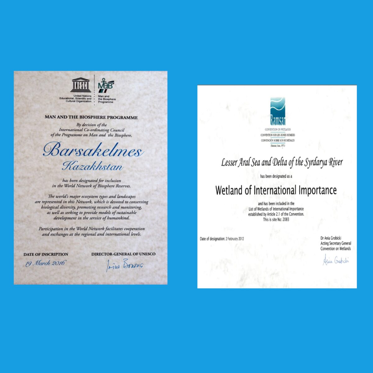 Международный статус Барсакельмесского заповедника