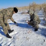 12 сәуір – Қазақстанда ғылым саласы қызметкерлерінің күні