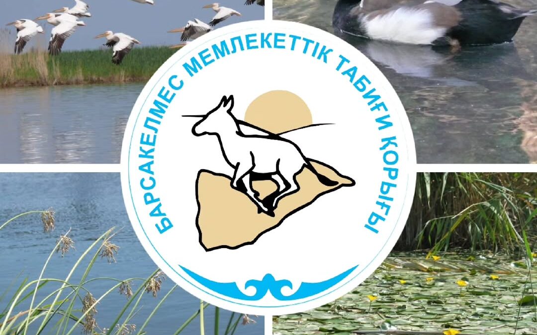 Бүгін - сулы-батпақты алқаптар күні!