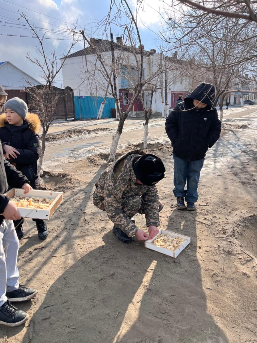 Құстарға ұя орналастыру бойынша экологиялық іс-шара өткізді