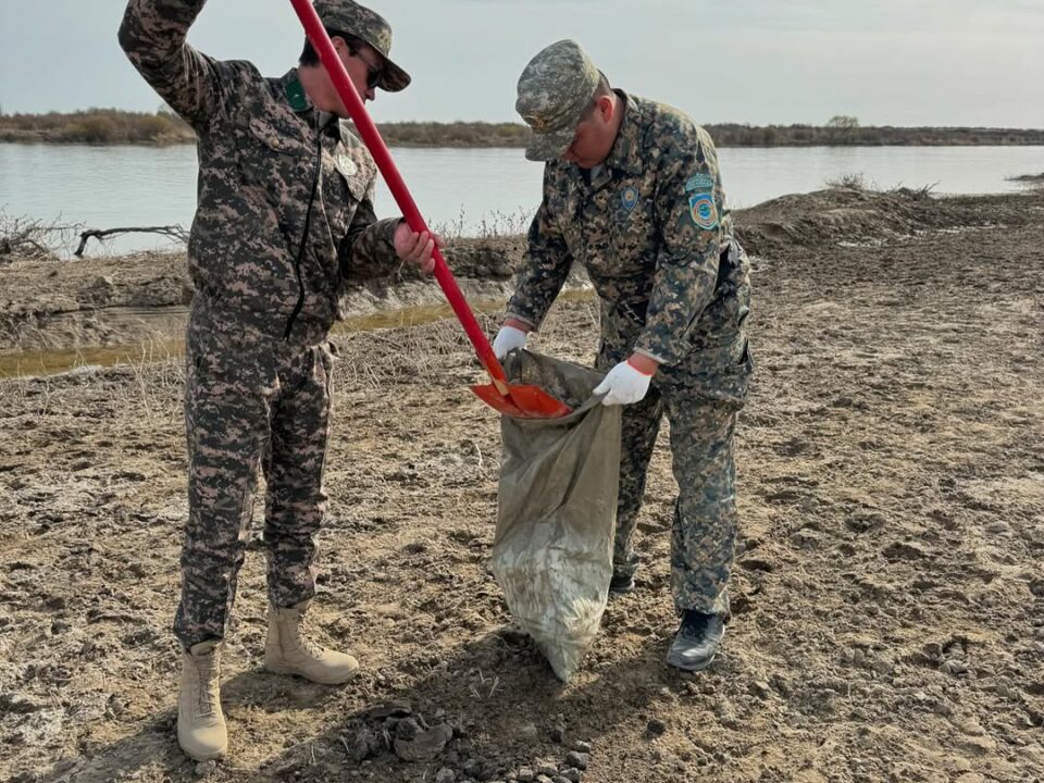 Республикалық “Тазаlike” іс шарасының жол картасы және «Парктер шеруі - 2025» табиғат қорғау акциясы аясында “Таза жағалау” экологиялық іс - шарасы өткізілді