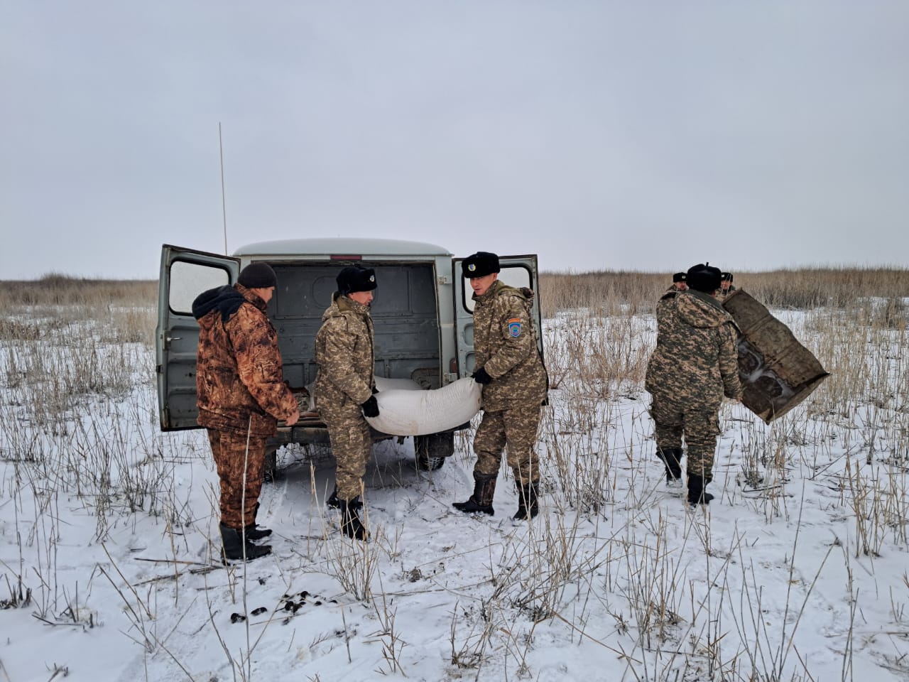 Биотехниялық іс-шаралар