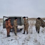 Биотехнические мероприятия