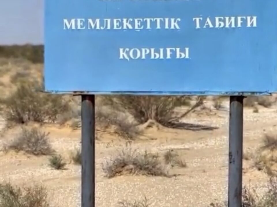 На территории заповедника проведены контрольно - рейдовые мероприятия