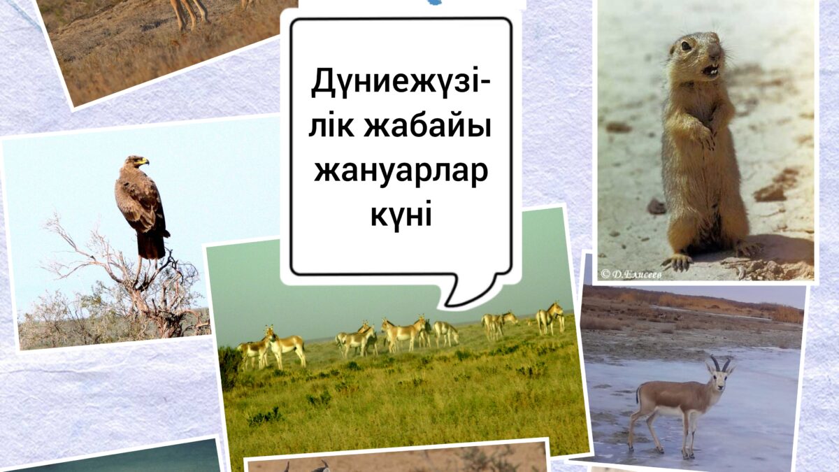 Сегодня - Всемирный день дикой природы