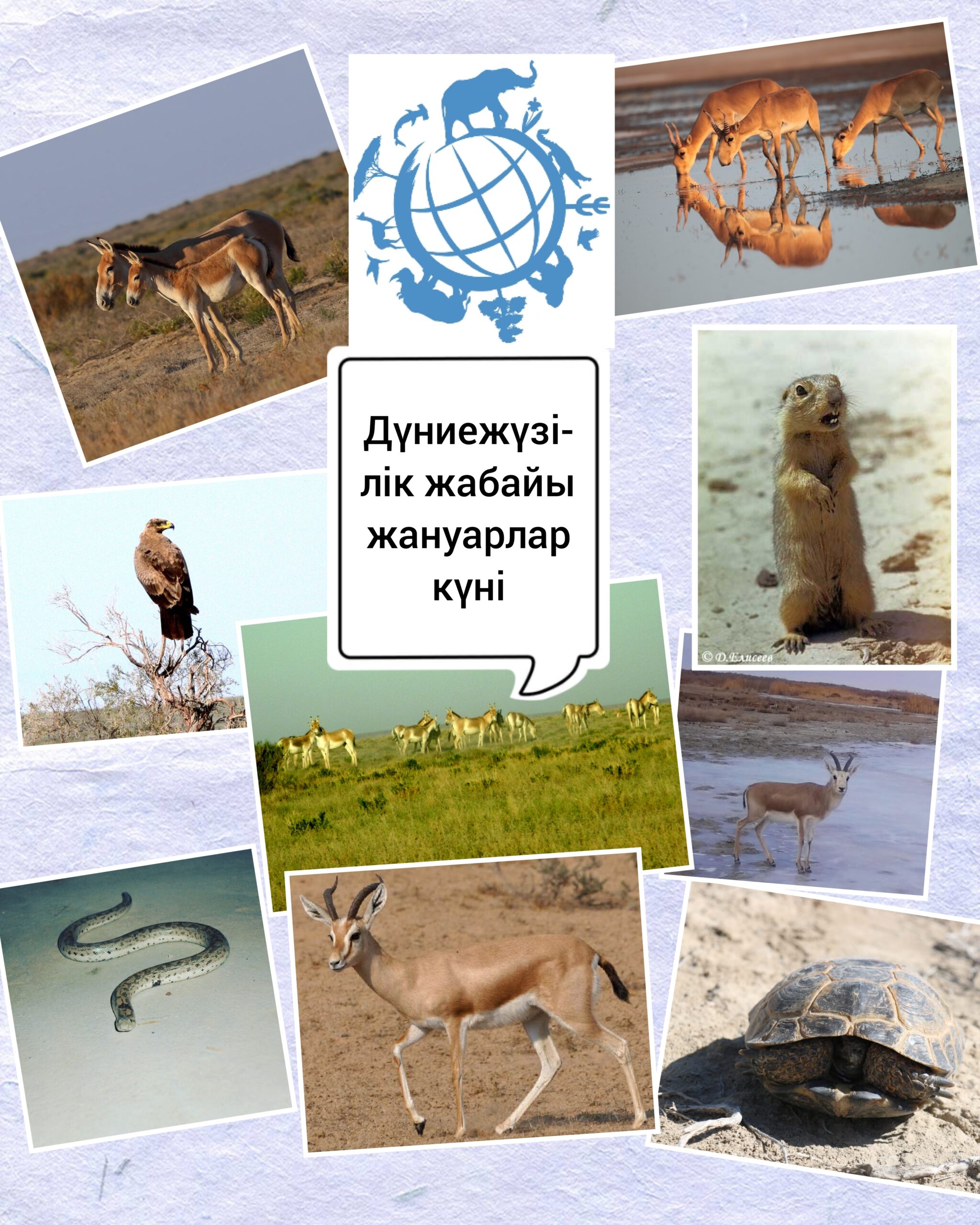 Сегодня - Всемирный день дикой природы