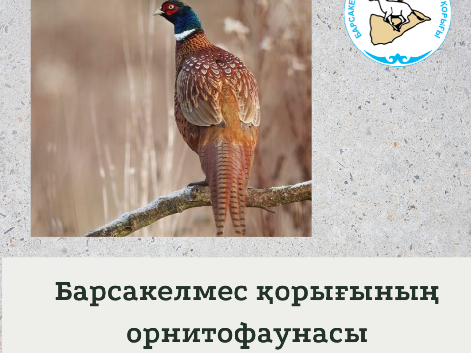 Қырғауыл