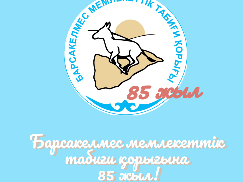 Барсакелмес мемлекеттік табиғи қорығының негізгі қызметтері