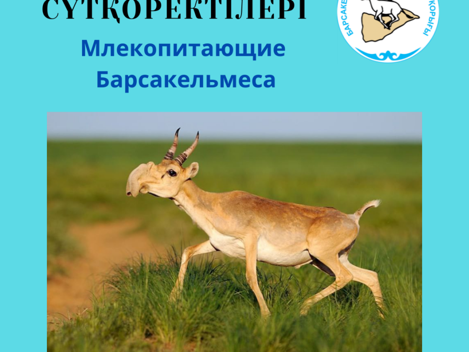 Ақбөкен