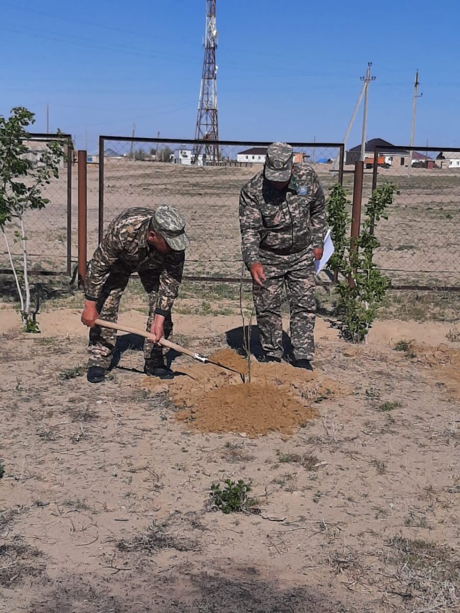 В с.Жанакурылыс проведена акция Всеказахстанский день посадки деревьев