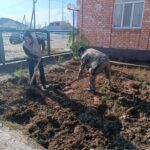 В рамках экологической программы «Таза Қазақстан» был организован субботник