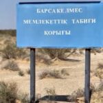 На территории заповедника проведены контрольно - рейдовые мероприятия