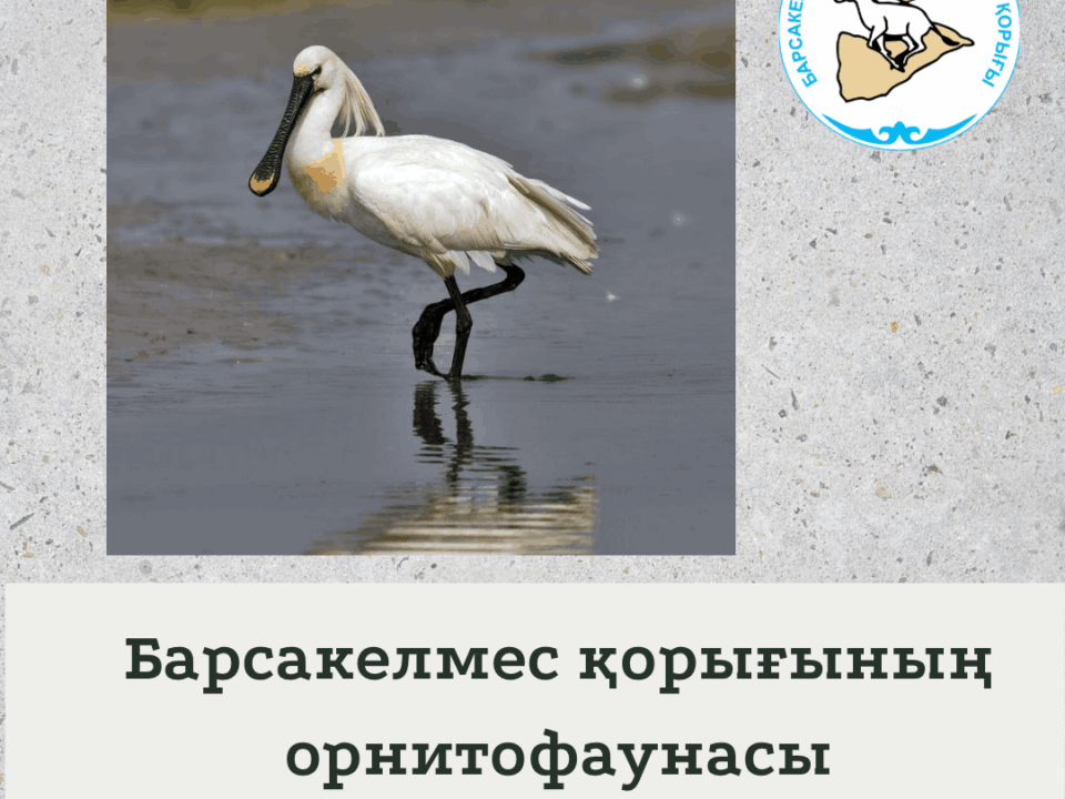 Жалбағай