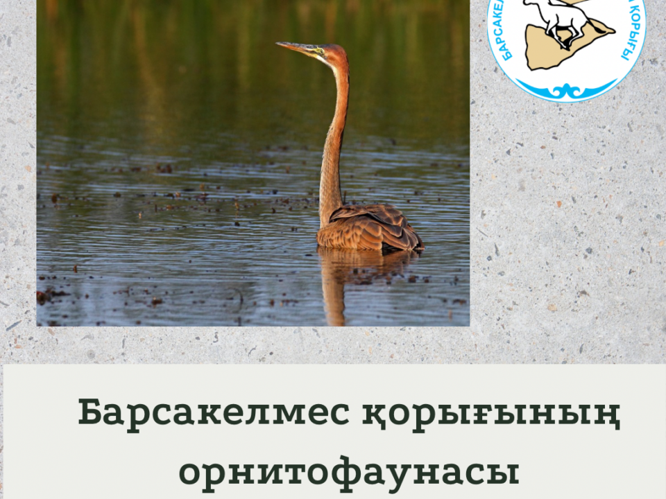 Жирен құтан