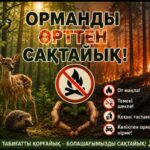Соблюдайте правила пожарной безопасности!