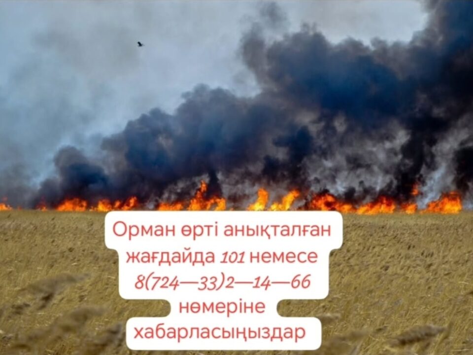 🔥🔥Жаз айларында орманда өрт шығу қаупі артатыны белгілі.
