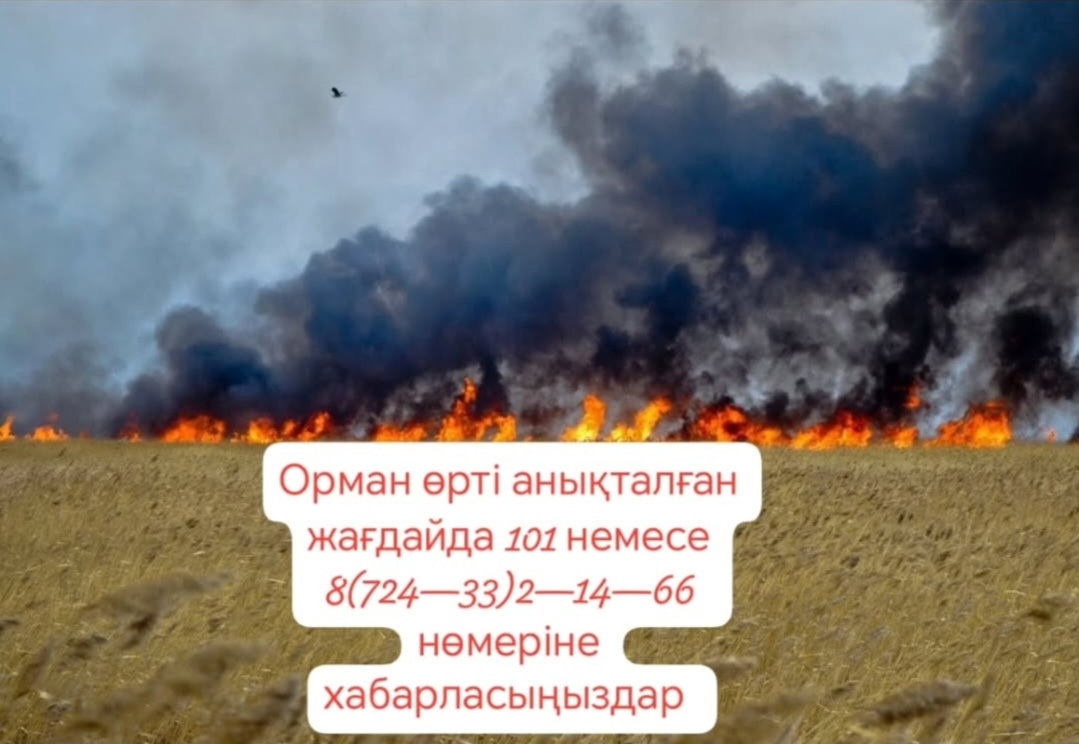🔥🔥Жаз айларында орманда өрт шығу қаупі артатыны белгілі.
