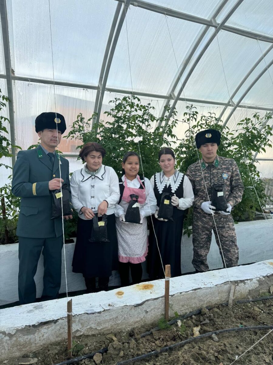 В Приаралье произведен посев семян саксаула с закрытой корневой системой на 1000 кустарников