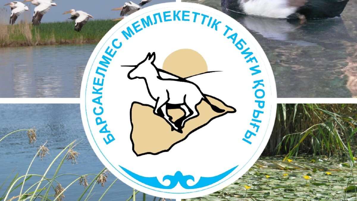 Сулы-батпақты алқаптар күні!