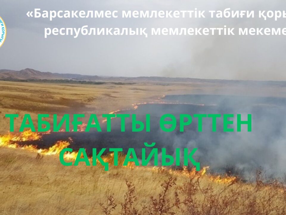 Табиғатты өрттен сақтайық