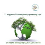 Бүгін - Халықаралық орман күні