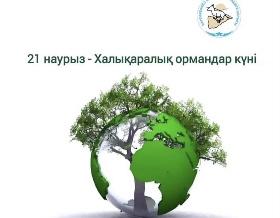 Бүгін - Халықаралық орман күні