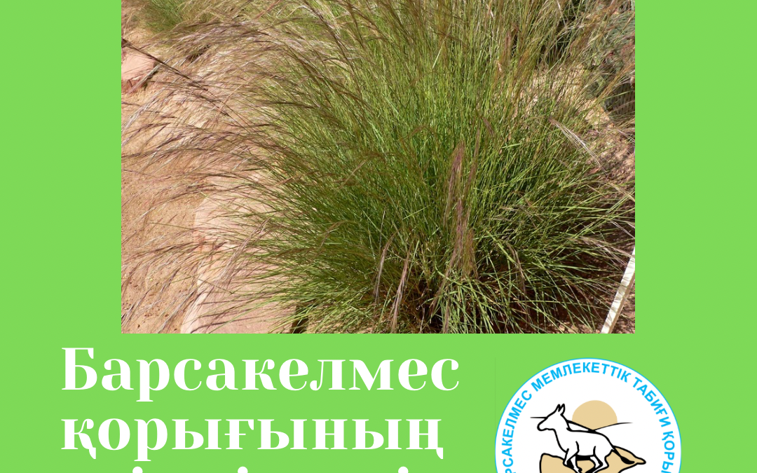 Триостренница