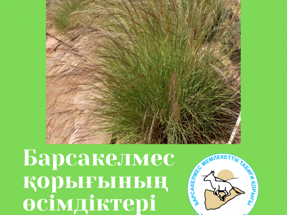 Триостренница