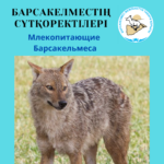 Шакал