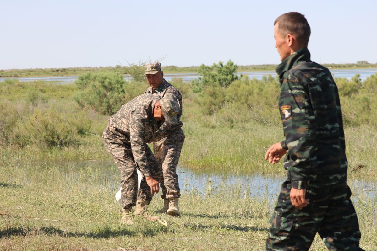 Международный день очистки водоемов