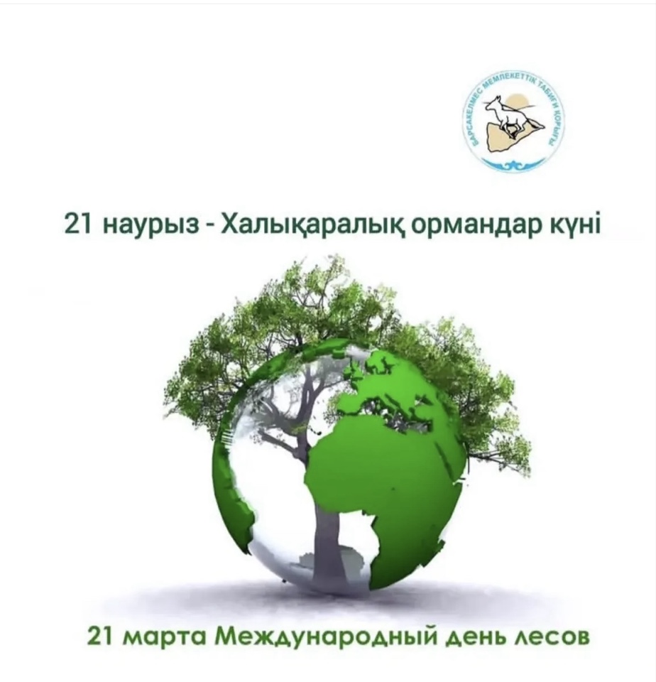 Сегодня - Международный день лесов