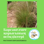 Триостренница