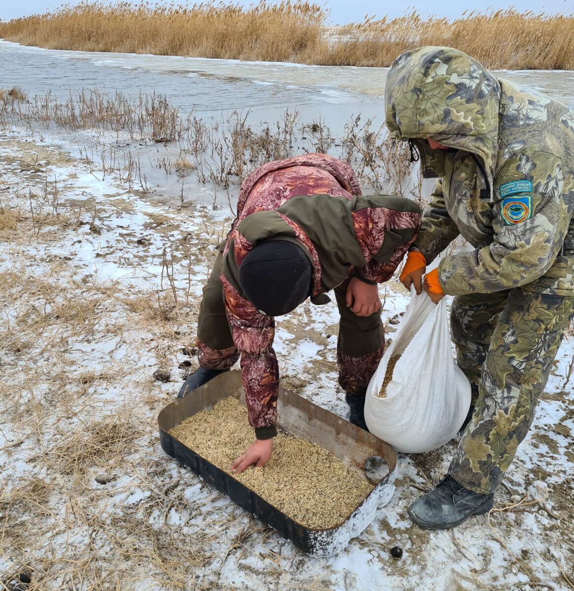 Арал өңірінің климаты қатал екені мәлім, жазы – аптап ыстық, қысы – желді аяз. Осы орайда, мекеме дирекциясымен қорық аумағында биотехникалық іс-шаралар