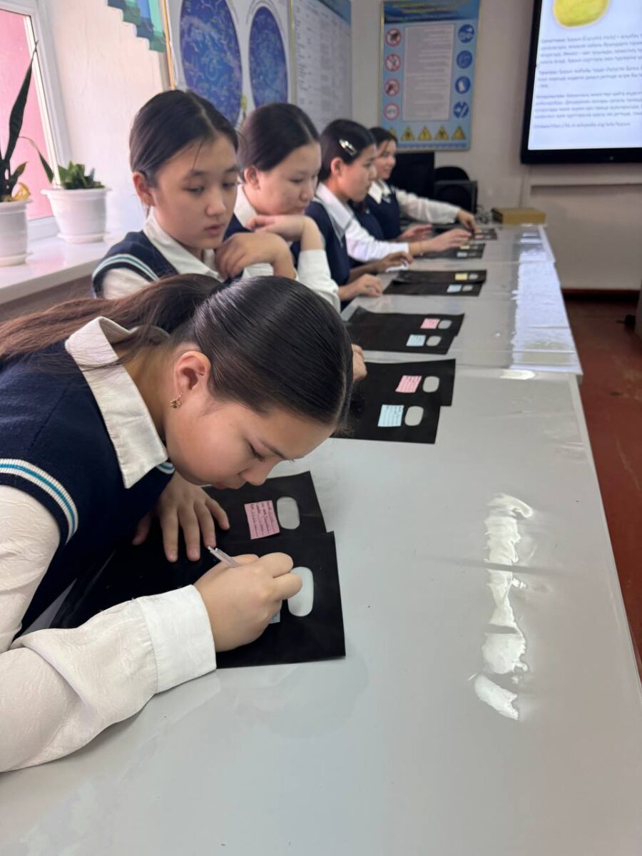 Арал өңірінде “Таза Қазақстан” акциясы аясында 1000 түп сексеуілге тұқым себілді
