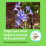 Татар шөпжияры