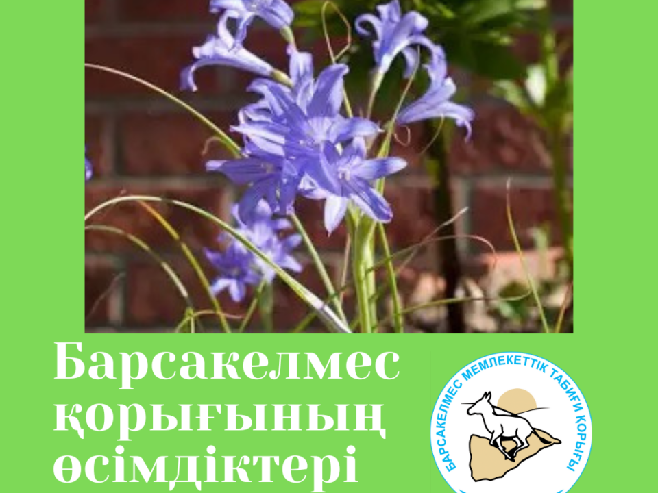 Татар шөпжияры