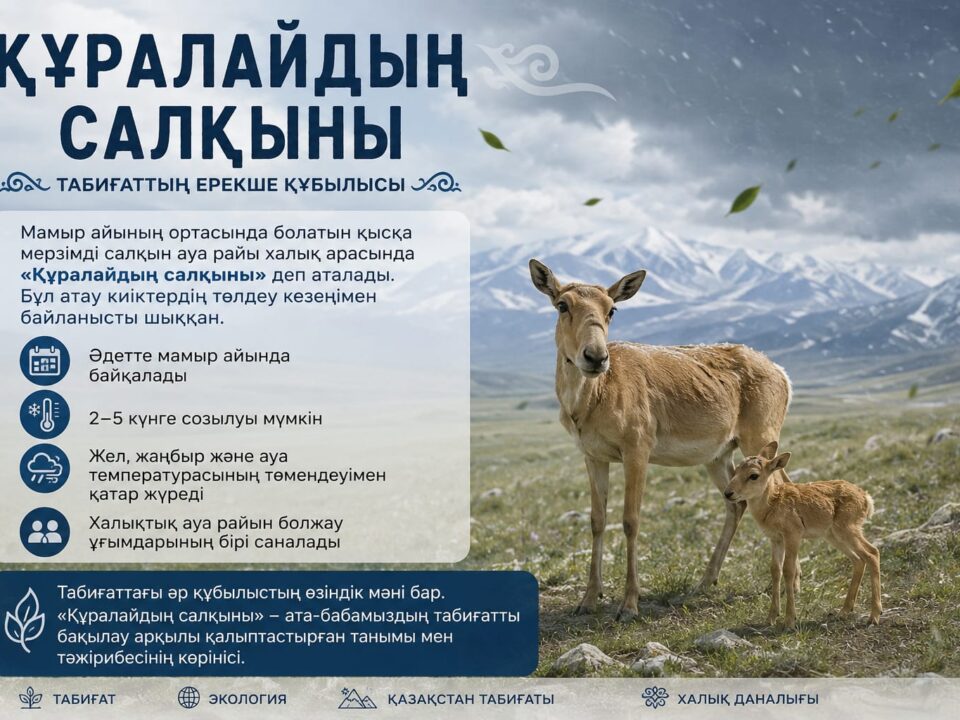 «Құралайдың салқыны» - табиғаттағы маусымдық климаттық құбылыс
