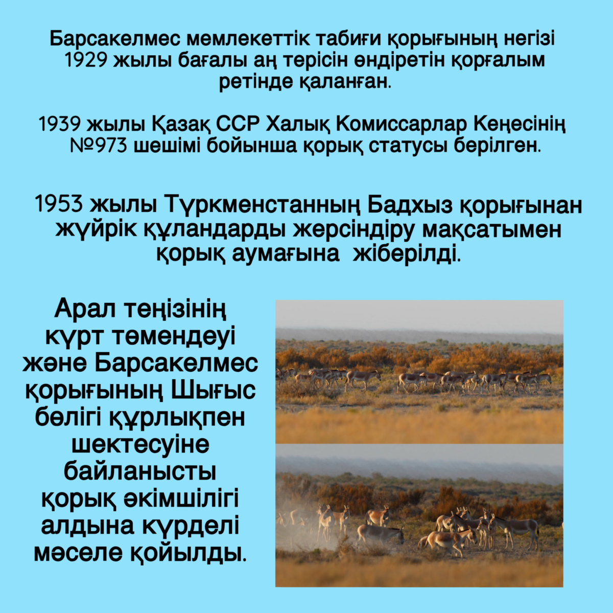 Барсакельмесскому заповеднику 85 лет: история создания