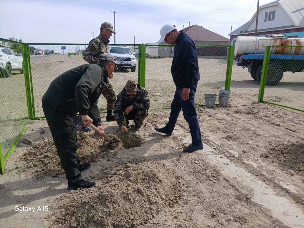 В селе Каратерень проведены работы по посадке деревьев